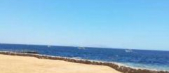 شقة للإيجار فى السيوف بحري - قسم المنتزه - الإسكندرية