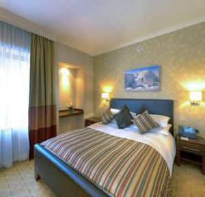 Apartment For Rent In Cairo