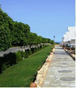 Apartment For Rent In Qesm Sharm Ash Sheikh - South Sinai