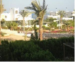 Apartment For Rent In Qesm Sharm Ash Sheikh - South Sinai
