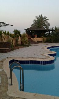 Villa For Rent In Ismailia - Ismailia