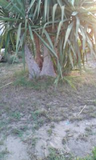 Villa For Rent In Ismailia - Ismailia