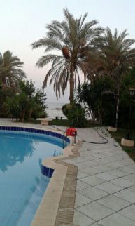 Villa For Rent In Ismailia - Ismailia