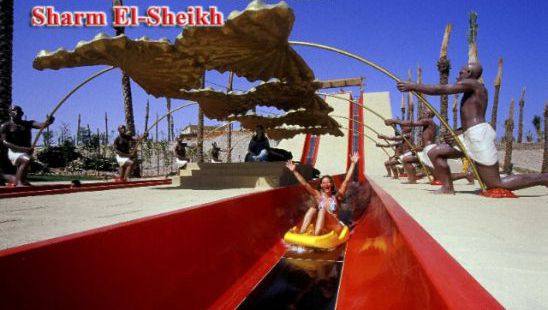 Apartment For Rent In South Sinai