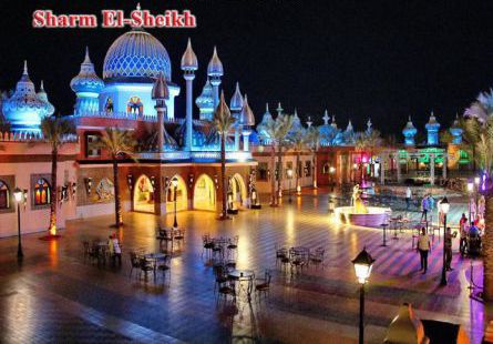 Apartment For Rent In South Sinai