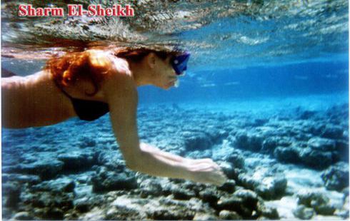 Apartment For Rent In South Sinai