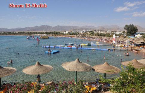 Apartment For Rent In South Sinai