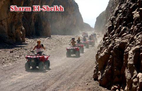 Apartment For Rent In South Sinai