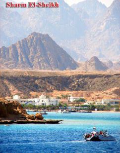 Apartment For Rent In South Sinai