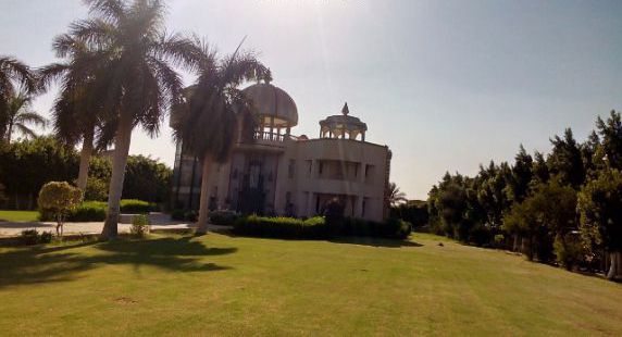 Villa For Rent In Saqarah - Al Badrashin - Giza