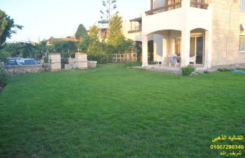 Holiday Villa For Rent In Qaryat Siyahiyyah - Qesm Borg Al Arab - Alexandria