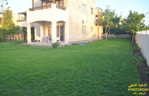 Holiday Villa For Rent In Qaryat Siyahiyyah - Qesm Borg Al Arab - Alexandria