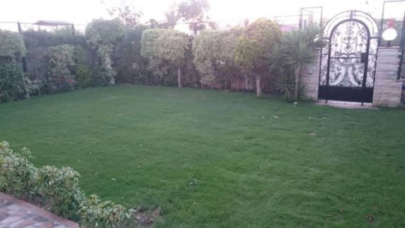 Villa For Rent In Qaryat Siyahiyyah - Qesm Borg Al Arab - Alexandria