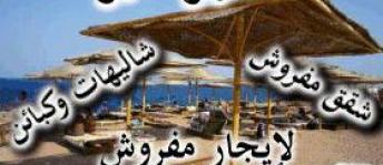 شقة للإيجار فى المعمورة - قسم المنتزه - الإسكندرية