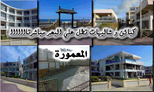 Apartment For Rent In Al Hasanah - Markaz Tama - Sohag