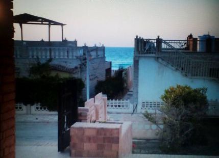 Holiday Villa For Rent In Madinet Borg Al Arab - Qesm Borg Al Arab - Alexandria