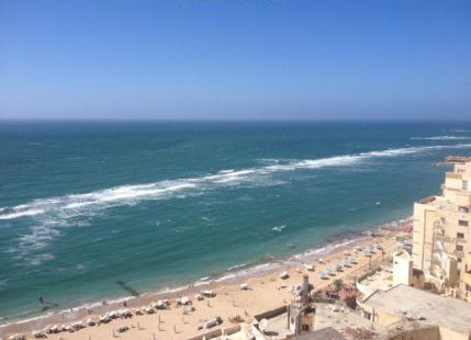 Apartment For Rent In Miami - Qism El-Montaza - Alexandria