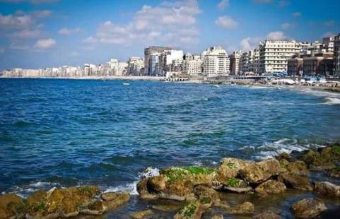 Apartment For Rent In Qaryah No. 1 - Qesm Al Amereyah - Alexandria