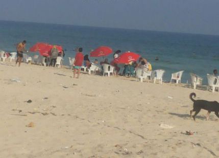 Apartment For Rent In El Nakheel Beach -  6 October - Qesm Al Amereyah - Alexandria