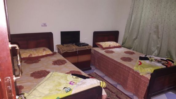 Apartment For Rent In Giza - Giza