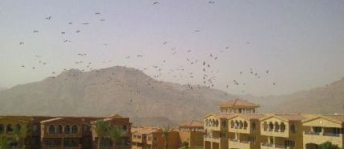 شاليه للإيجار فى العين السخنة - عتاقة - السويس