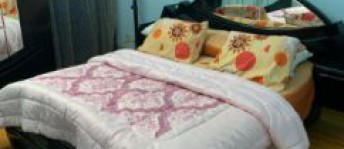 Apartment For Rent In Al Manteqah Al Oula - Nasr City - Cairo