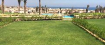 Holiday Villa For Rent In Ataqah - Suez