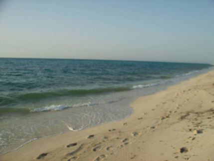 Villa For Rent In Qesm Borg Al Arab - Alexandria