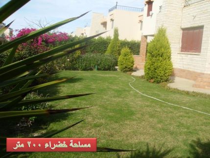 Villa For Rent In Qesm Borg Al Arab - Alexandria