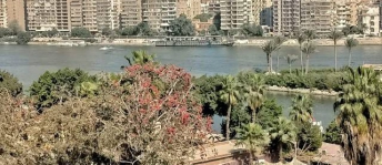 شقة للإيجار فى الجيزة - الجيزة