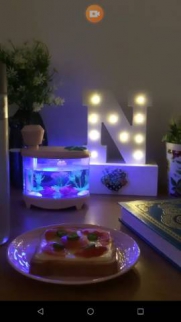 Villa For Rent In Red Sea