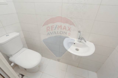Apartment For Rent In Zizinia - Qism El-Raml - Alexandria