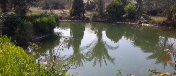Villa For Rent In Giza