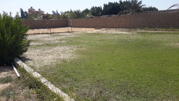 Villa For Rent In Giza