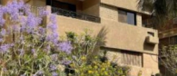 عمارة للإيجار فى الدقى - الجيزة