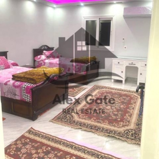 Apartment For Rent In Loran - Qism El-Raml - Alexandria