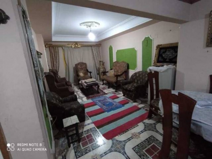 شقة للإيجار فى زيزينيا - قسم الرمل - الإسكندرية