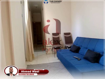 شقة للإيجار فى سيدي جابر - قسم سيدى جابر - الإسكندرية