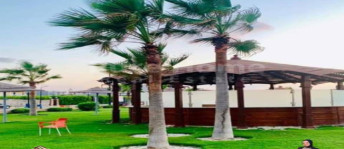 Holiday Villa For Sale In Markaz Al Alamein - Matrouh