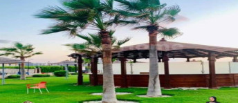 شاليه للبيع فى مركز العلمين - مطروح