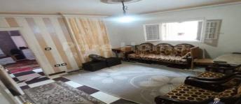 شقة للبيع فى قسم المنتزه - الإسكندرية