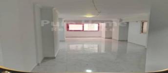 شقة للإيجار فى الشاطبي - قسم باب شرقي - الإسكندرية