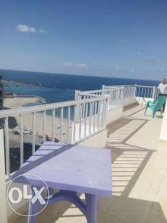 Apartment For Rent In Miami - Qism El-Montaza - Alexandria