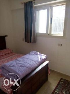 Apartment For Rent In Miami - Qism El-Montaza - Alexandria